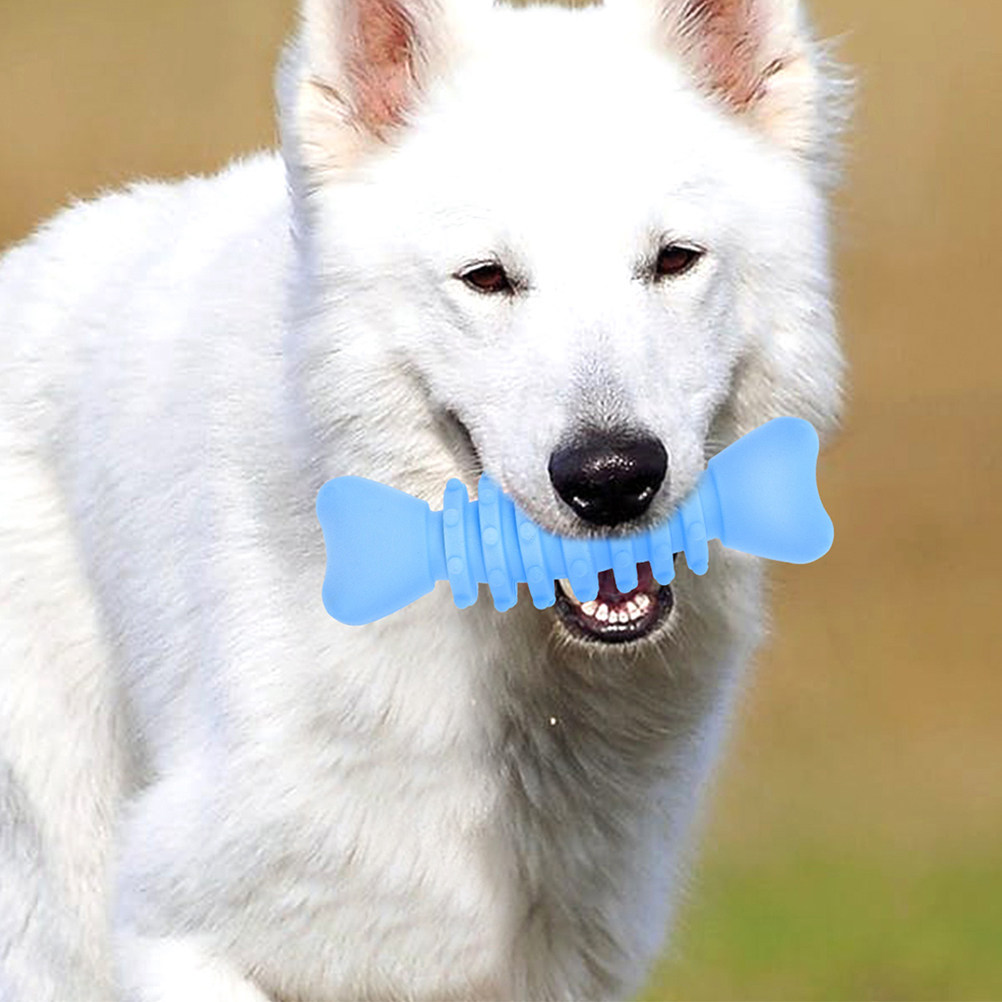Teeth Cleaning Dog Chew Bone - 2Pcs 개 어금니 씹는 뼈 안전한