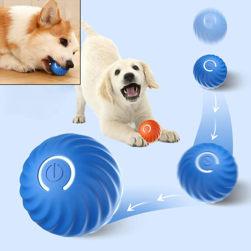 Automatic Moving Dog Ball - 자동 이동 강아지 장난감 공 USB