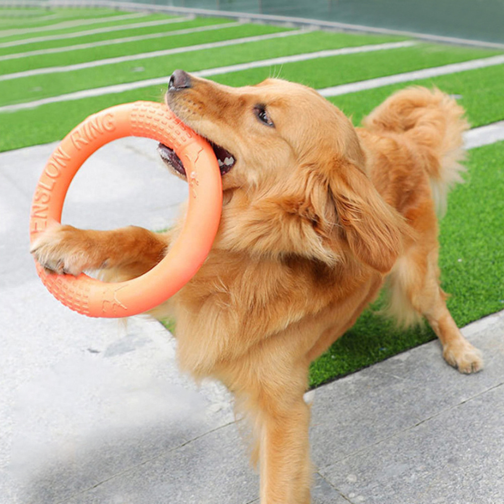 반려동물 플라잉 디스크 훈련 링 풀러, EVA 인터랙티 - Flying Disc Dog Training Toy 리뷰 및 가격