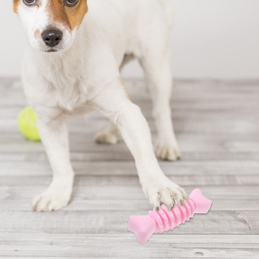 2Pcs 개 어금니 씹는 뼈 안전한 Tpr 소재 강아지 - Teeth Cleaning Dog Chew Bone 리뷰 및 가격