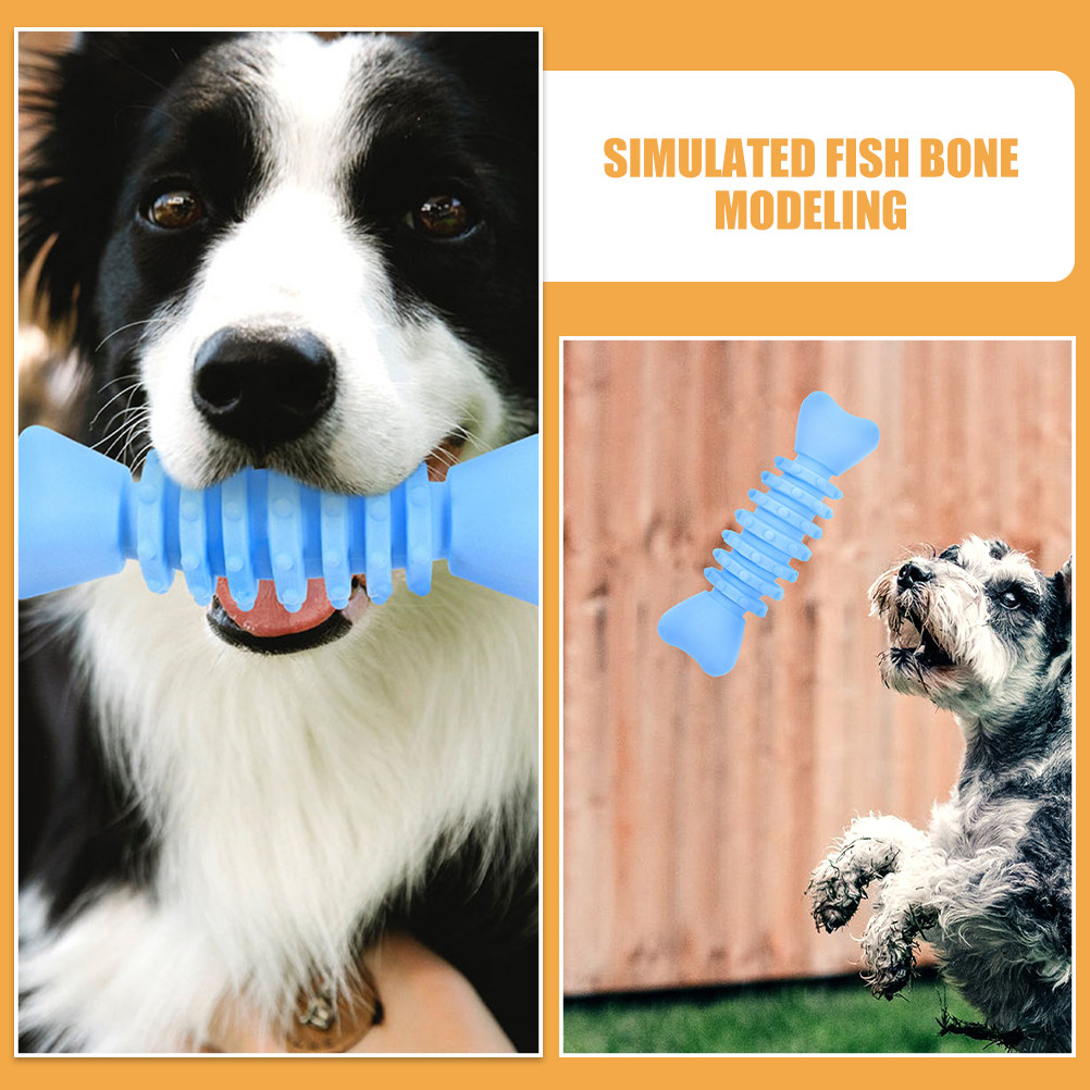 2Pcs 개 어금니 씹는 뼈 안전한 Tpr 소재 강아지 - Teeth Cleaning Dog Chew Bone 리뷰 및 가격