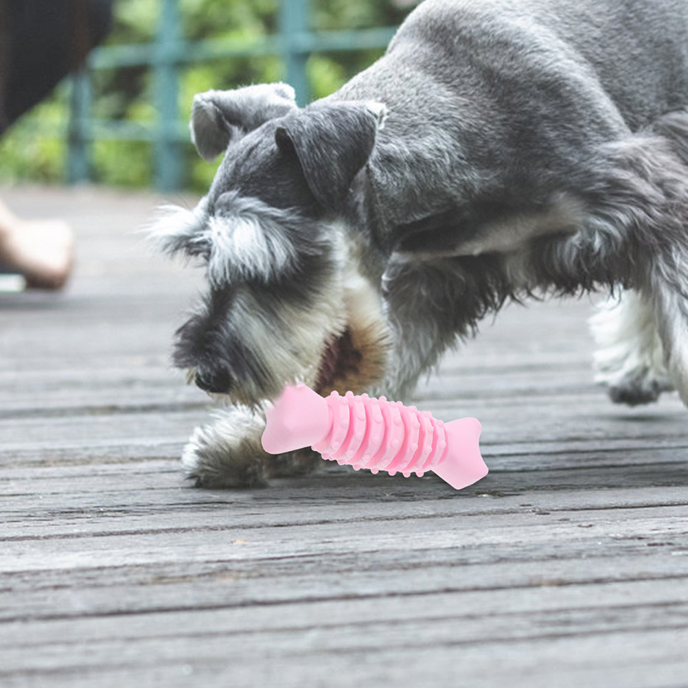 2Pcs 개 어금니 씹는 뼈 안전한 Tpr 소재 강아지 - Teeth Cleaning Dog Chew Bone 리뷰 및 가격