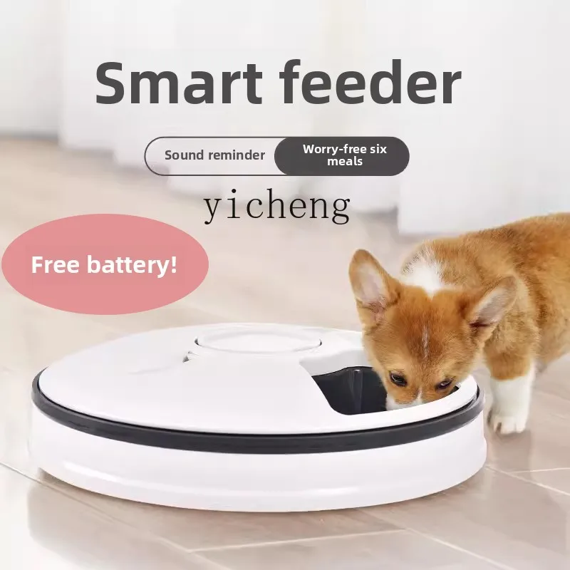 자동 급식기, 습식 사료용, 고양이용, 6칸 분리, 시 - Pet Feeders 리뷰 및 가격
