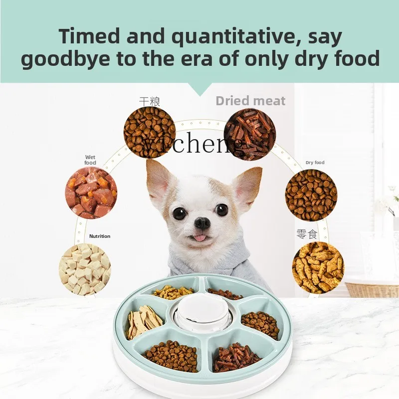 자동 급식기, 습식 사료용, 고양이용, 6칸 분리, 시 - Pet Feeders 리뷰 및 가격