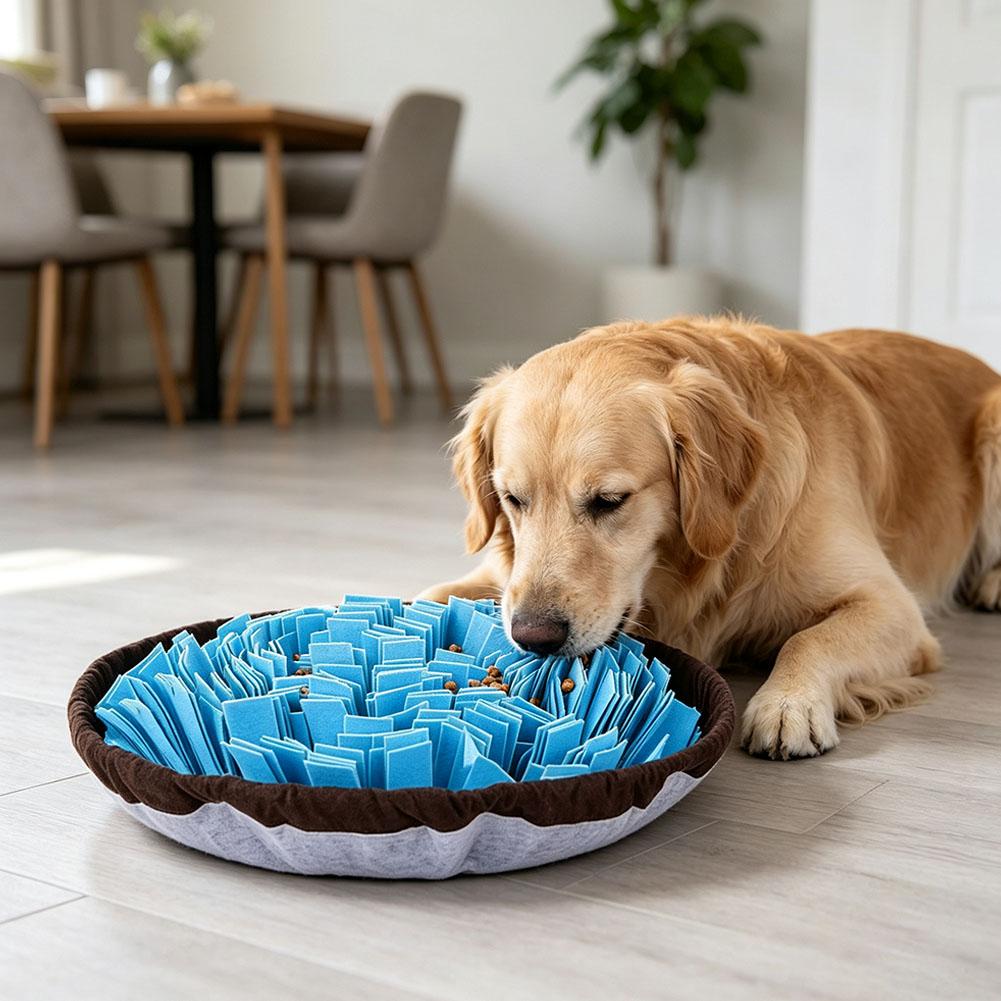 강아지용 코 쓰기 놀이 매트, 상호작용형 먹이 주기 퍼 - Dog Puzzle Feeder Toy 리뷰 및 가격
