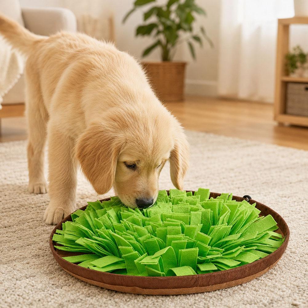 강아지용 코 쓰기 놀이 매트, 상호작용형 먹이 주기 퍼 - Dog Puzzle Feeder Toy 리뷰 및 가격