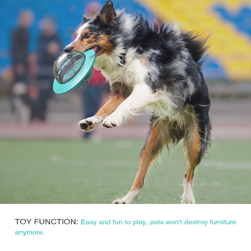 인터랙티브 디자인 강아지 공 장난감 음식 배급기 애완동 - Dog Puzzle Feeder Toy 리뷰 및 가격