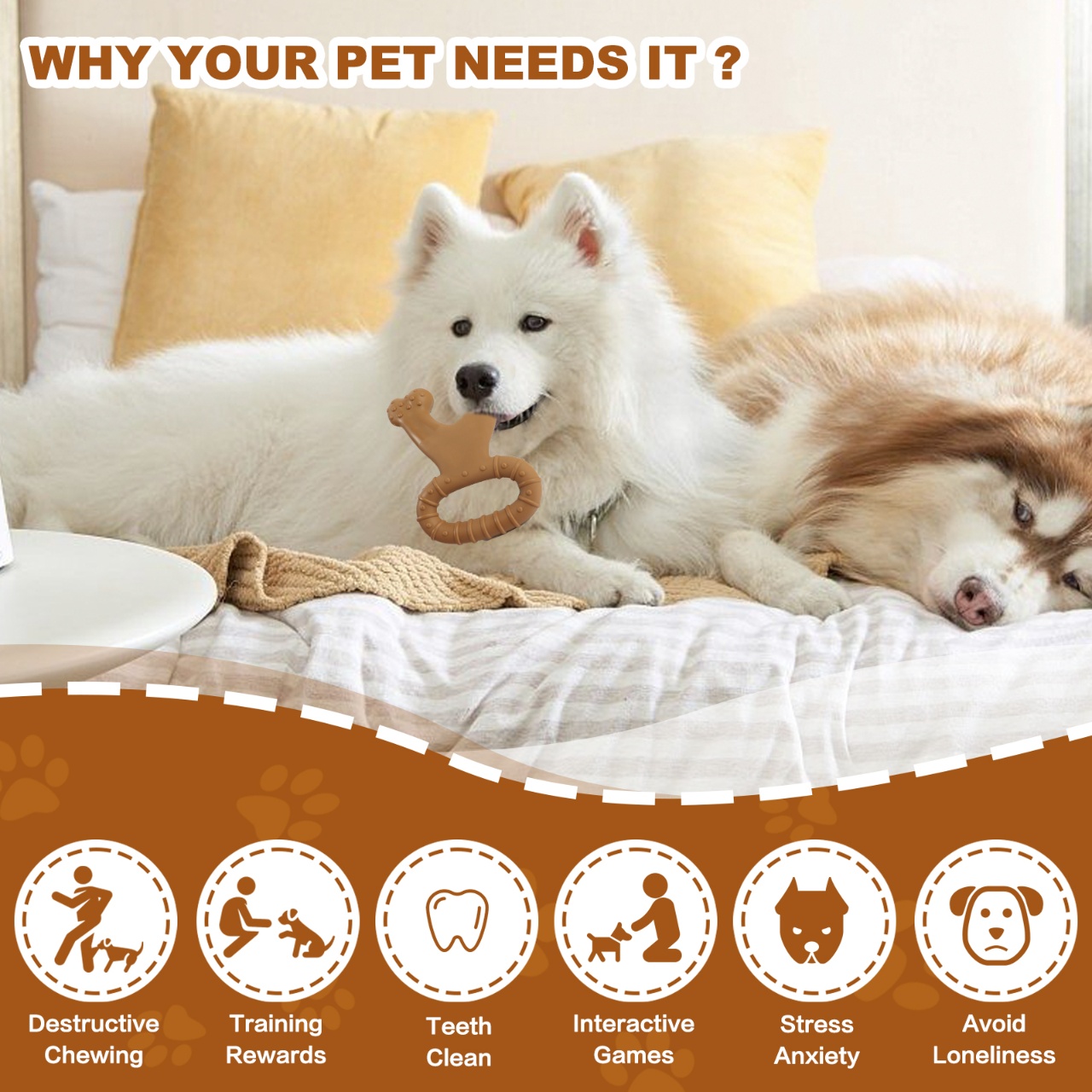 1개입 내구성이 뛰어난 뼈 모양의 인터랙티브 강아지 씹 - Teeth Cleaning Dog Chew Bone 리뷰 및 가격