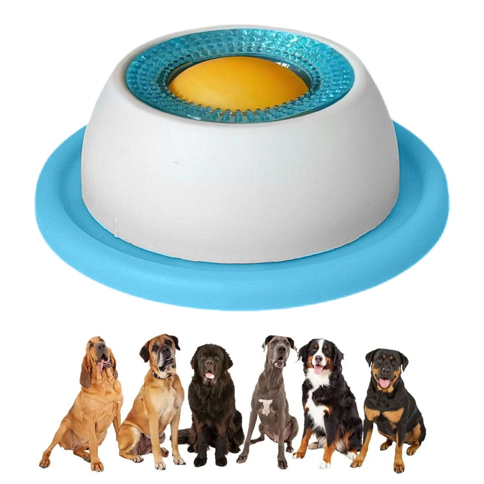 애완동물용 급식 용품, 강아지 간식 장난감, 퍼즐 장난 - Dog Puzzle Feeder Toy 리뷰 및 가격