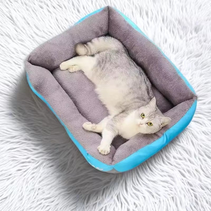 작은 고양이와 강아지에게 적합한 부드러운 플러시 소재의 - Interactive Squeaky Plush Dog Toy 리뷰 및 가격